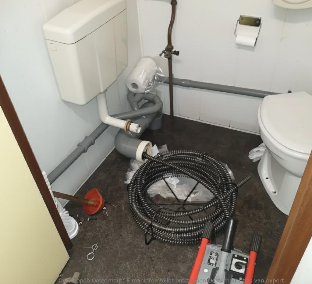 5 manieren toilet ontstoppen Oosterhout: tips van expert