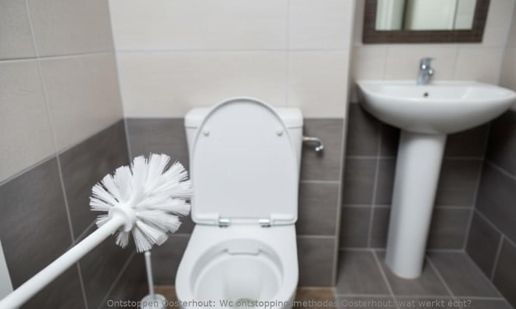 Wc ontstoppingsmethodes Oosterhout: wat werkt écht?